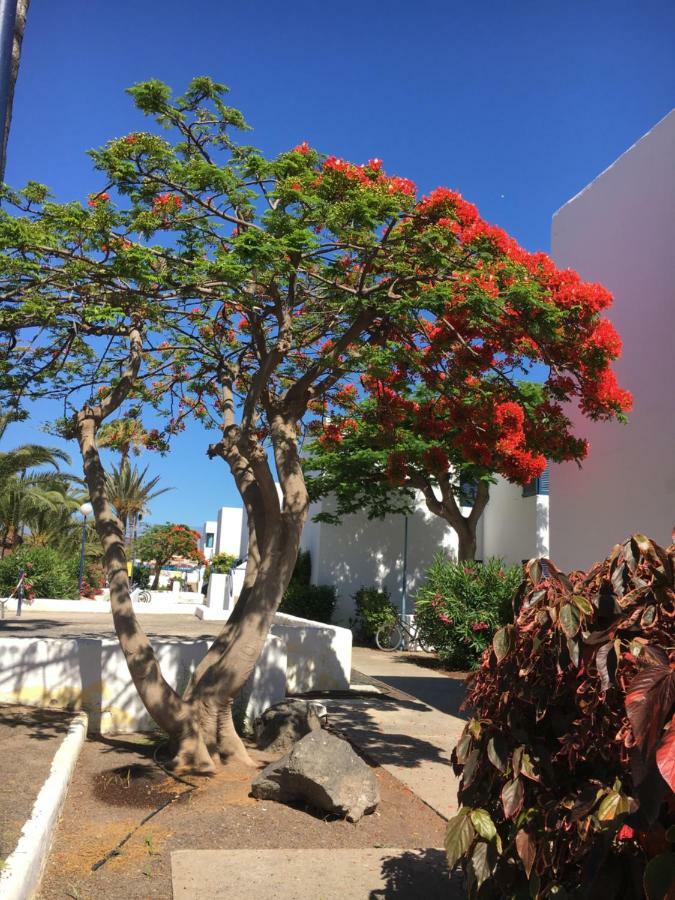 Apartamento Los Barqueros Corralejo Beach front - Town centre Exterior foto